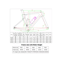 Load image into Gallery viewer, LaVita Criterium